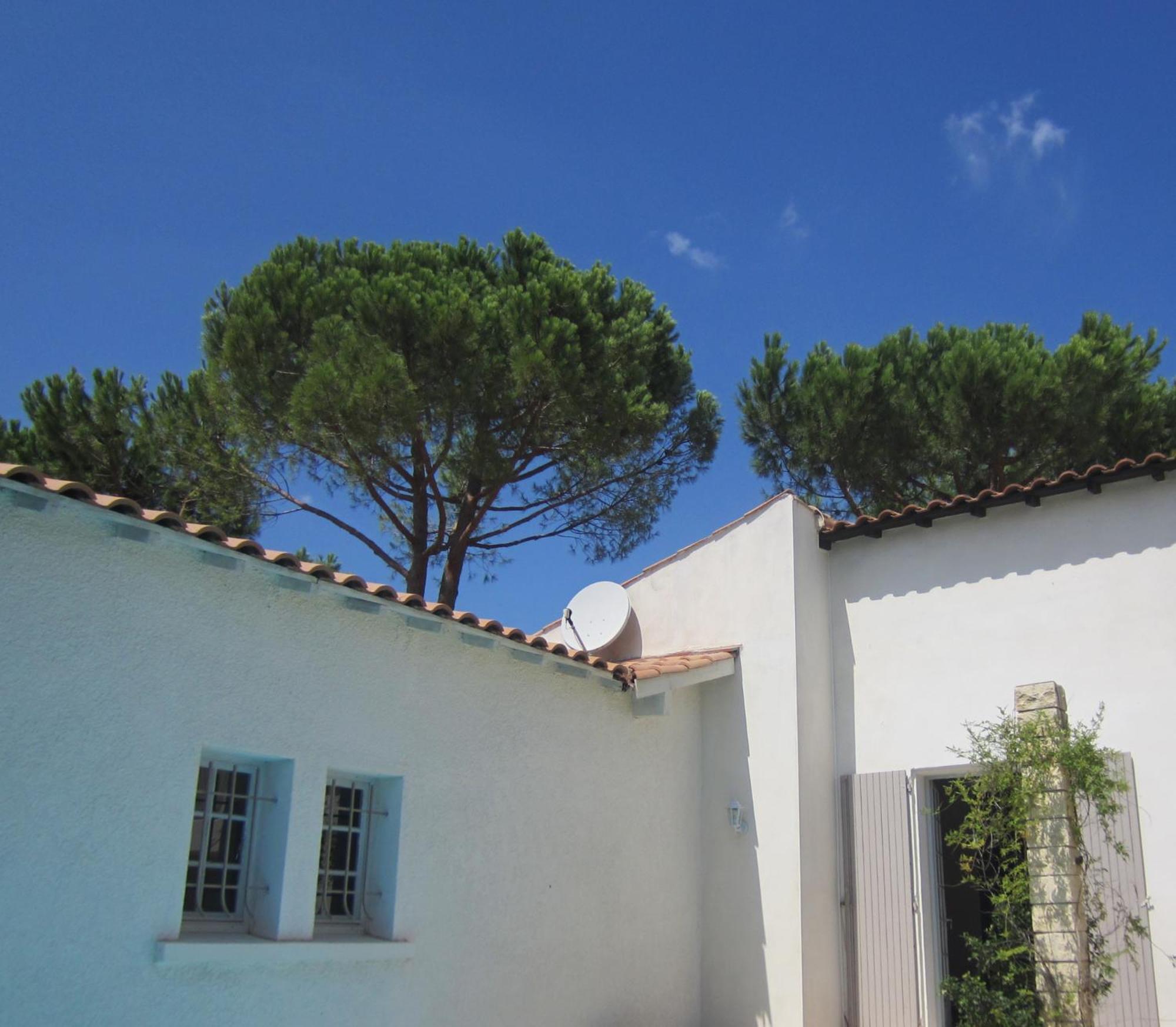 Bed and Breakfast La Fille Du Berger Puissalicon Exterior foto